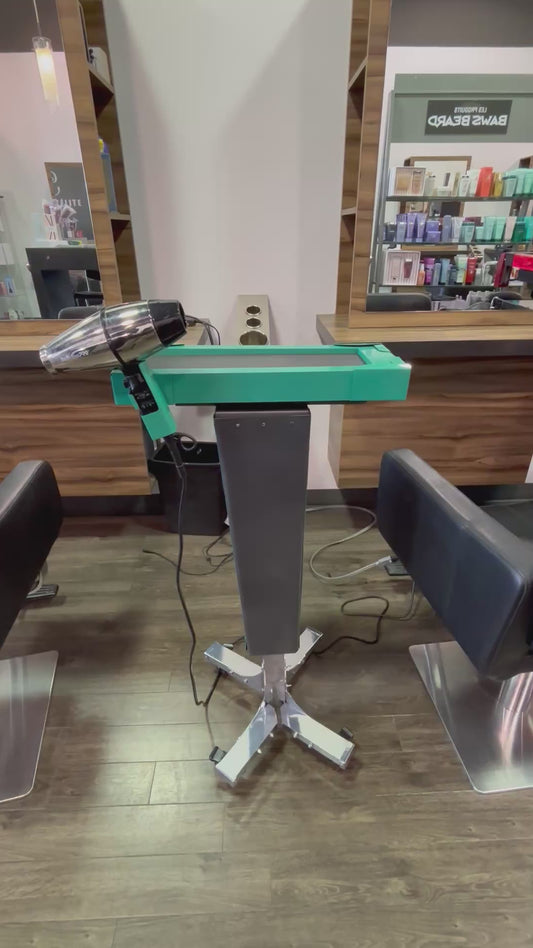 Motorized Trolley with Blow dryer holder